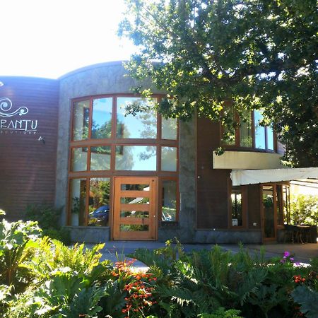 Cocurantu Hotel Boutique Pucón Exterior foto